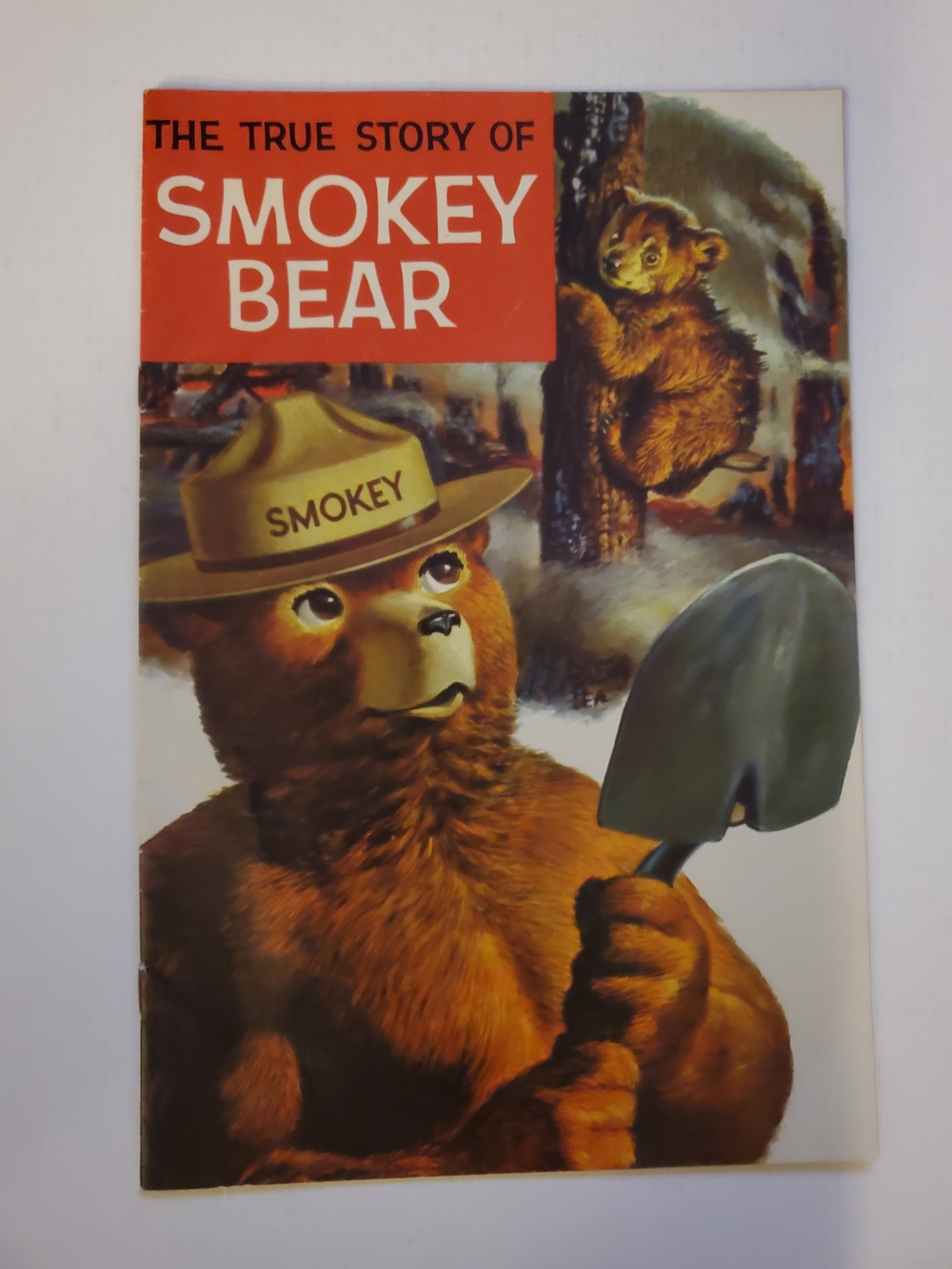 1969 Comic Book THE TRUE STORY OF SMOKEY BEAR Original Vintage Comic VF